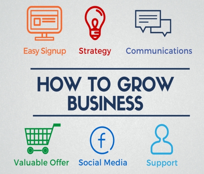 how to grow business