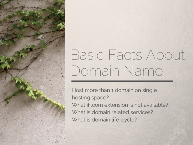 Basic_Facts_About_Domain_Name