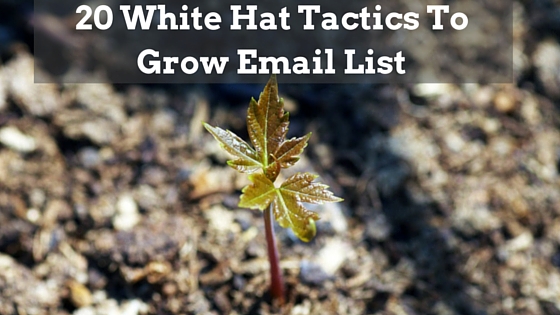 Tactics to Grow Email List