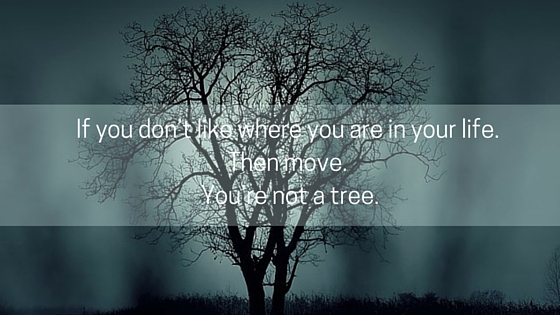 If you don’t like where you are in your life. Then move. You’re not a tree.