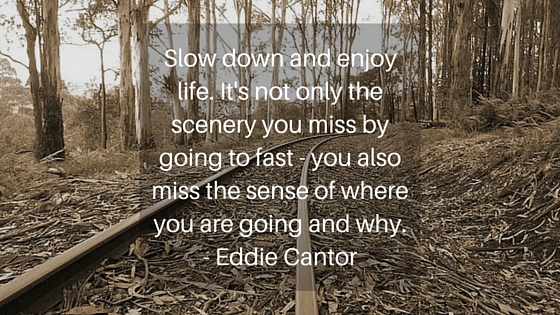Slow Down Yourself Quote